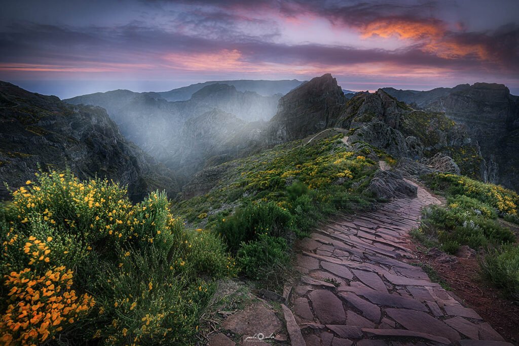 Madeira photography workshops & tours with Paulo Silva.