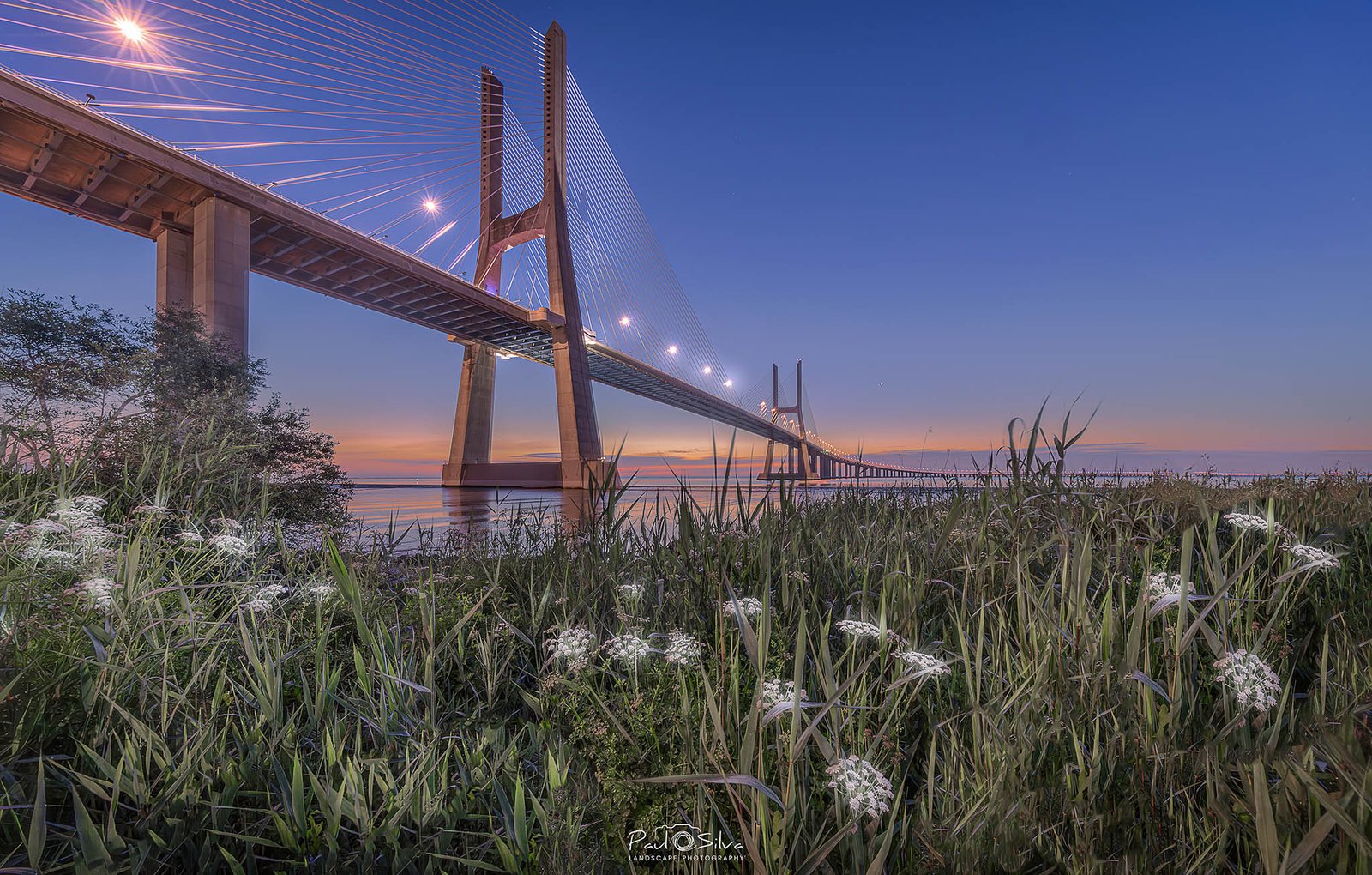 Image taken with the Canon RF 10-20mm f/4 L IS STM Lens