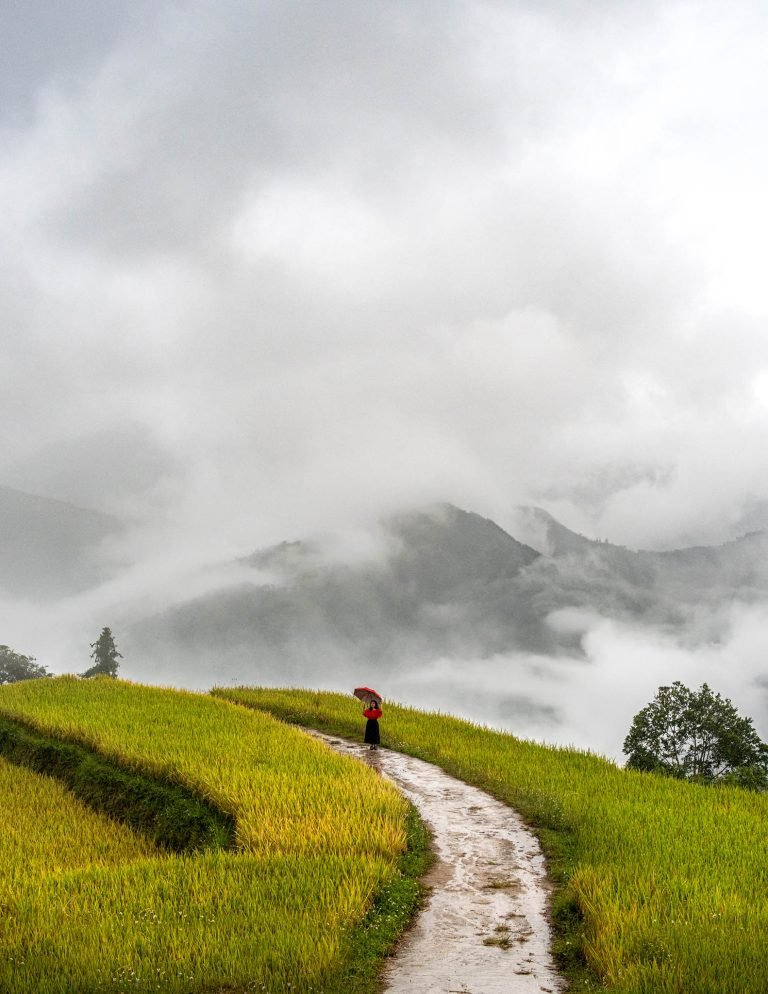 Hoang So Phi, Vietnam