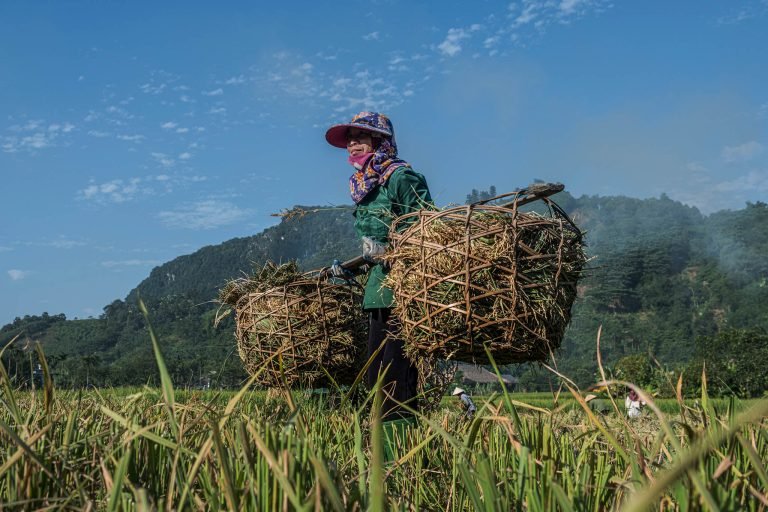 Local people in Yen-Bai, Vietnam