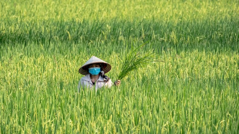 Local people in Yen-Bai, Vietnam