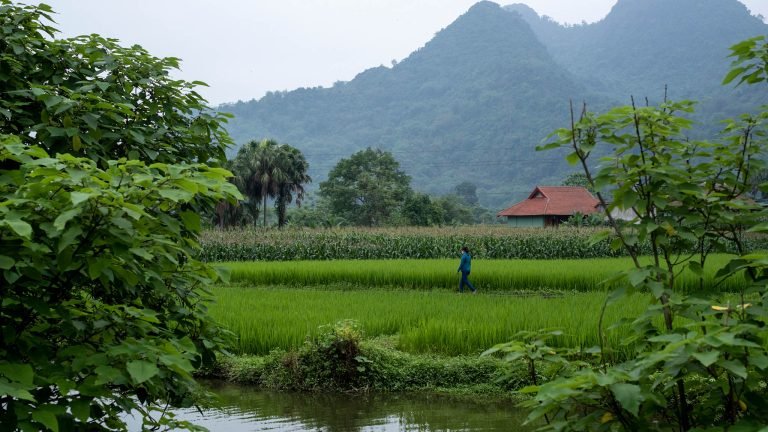 Local people in Yen-Bai, Vietnam