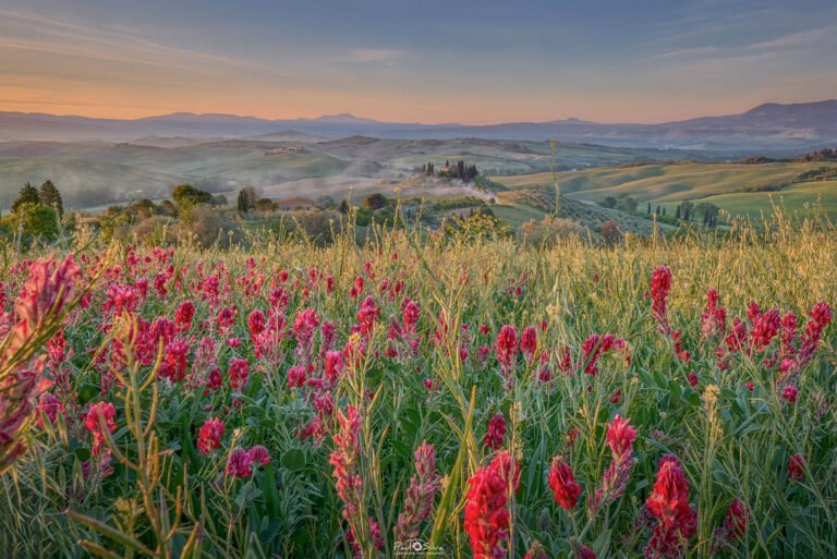 Tuscany in Spring