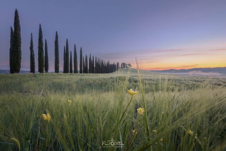 Tuscany in Spring