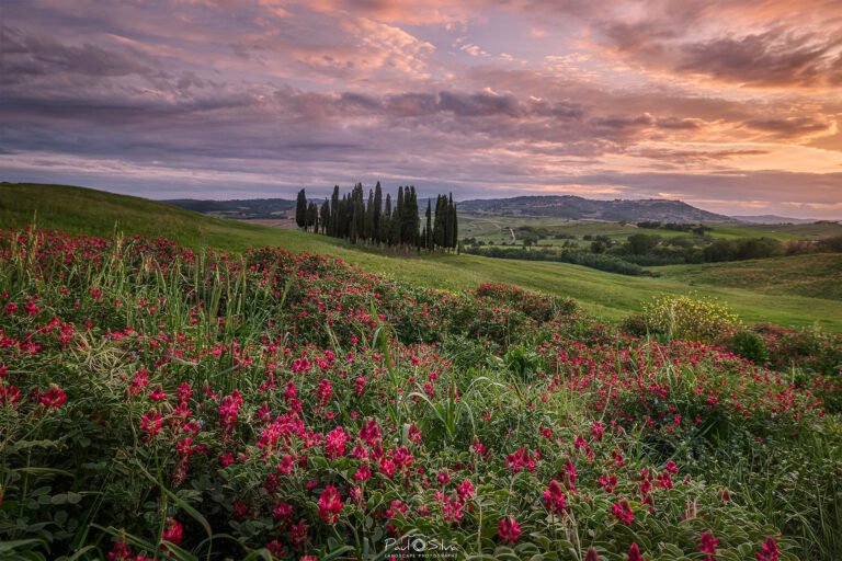 Tuscany in Spring