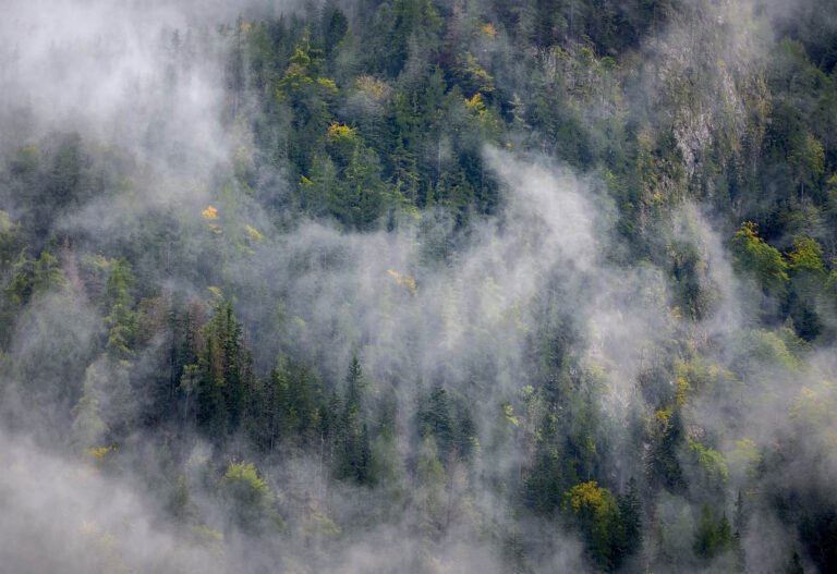 Bavaria