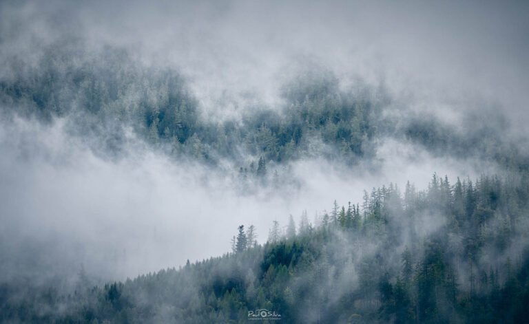 Misty mountain scene