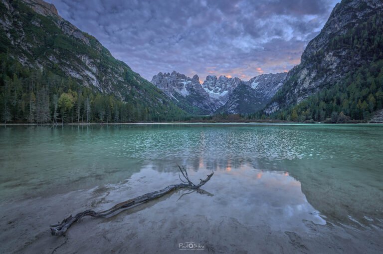 Bavaria