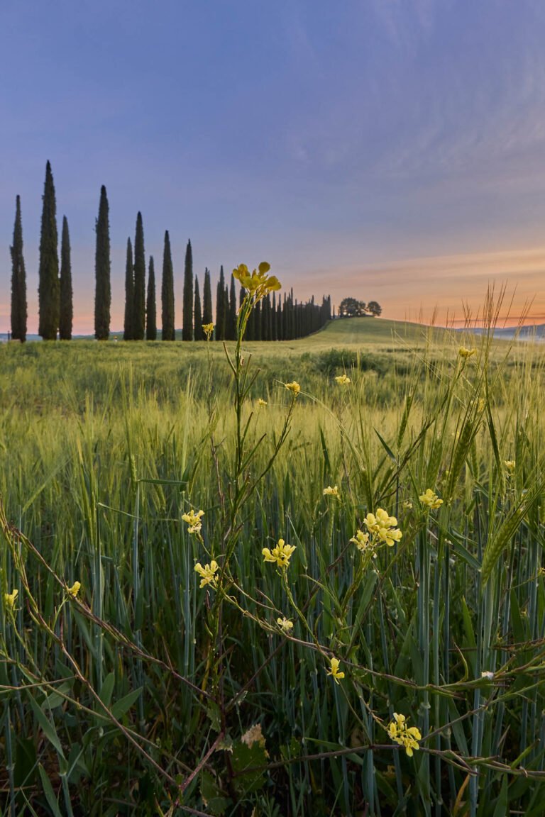 Tuscany in Spring