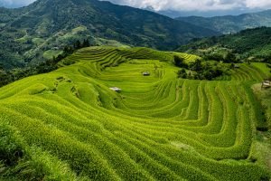Rice Terraces in Hoang Su Phi - Vietnam photography tour and workshop