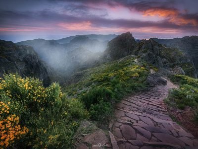 Madeira photography workshops & tours with Paulo Silva.