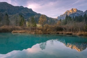 Zelenci Nature Reserve in Slovenia